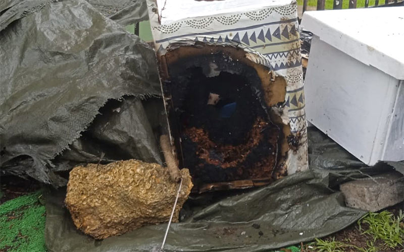 Denuncian el sospechoso incendio sufrido por una colonia de gatos autorizada en Puerto Real