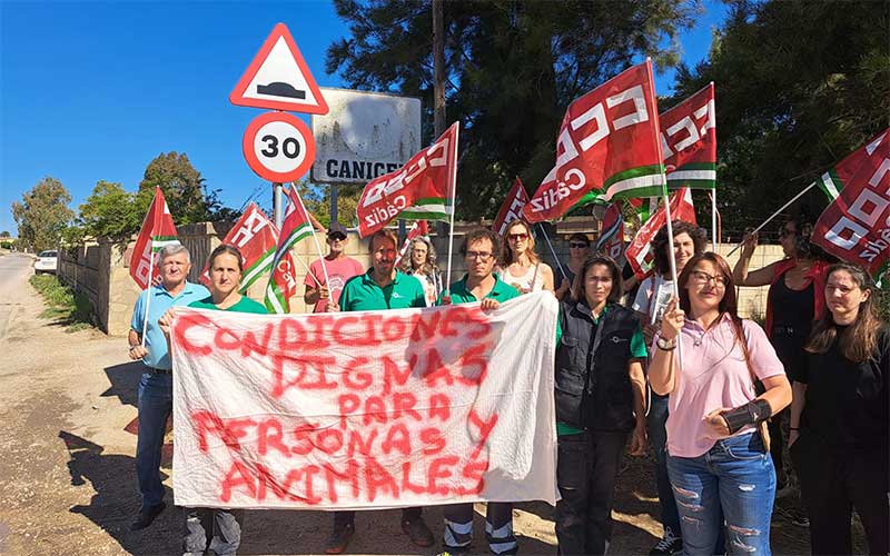 CCOO estalla frente a los voluntarios que piden despidos en la perrera de la Mancomunidad: “los trabajadores fueron los primeros en denunciar”