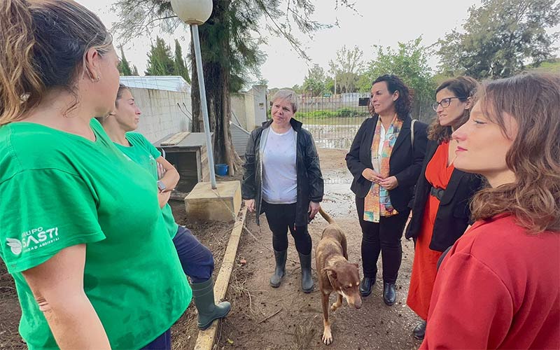La Mancomunidad de la Bahía romperá el contrato de la perrera por los “incumplimientos” de Athisa, y estudia qué hacer con los animales