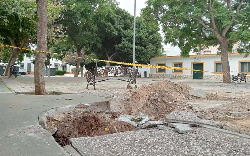 Lamentan que en Chiclana “se continúa sustituyendo masas arboladas por hormigón”