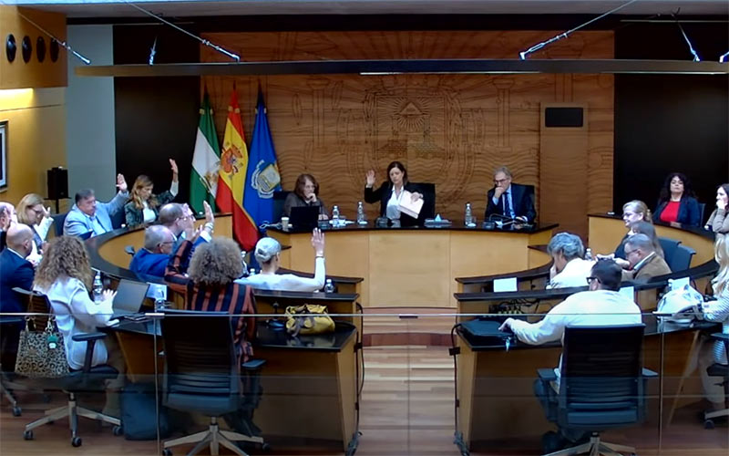 El PSOE en San Fernando saca adelante un presupuesto municipal para 2025 “histórico” que “sabe a dónde va”, y un millón para propaganda