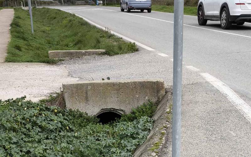 Vecinos reclaman a la Diputación la limpieza de cunetas en la carretera de El Marquesado