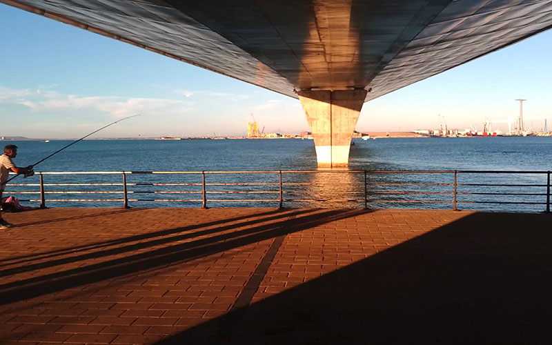 El Plan de Mejora de Calidad del Aire de la Bahía de Cádiz “no vela por la salud de la ciudadanía”