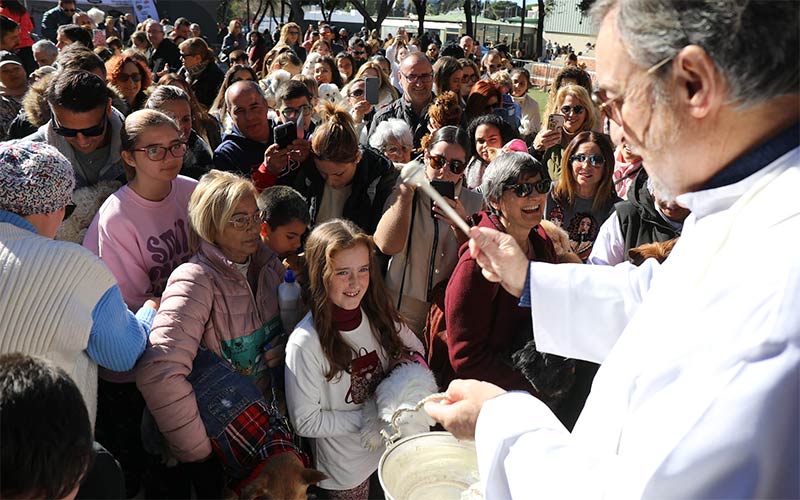 La Isla celebrará un año más en el parque la festividad de San Antón, y animará a la adopción