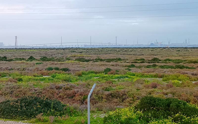 Ecologistas en Acción pide a la Justicia que anule el nuevo plan del Parque Natural Bahía de Cádiz