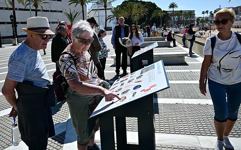Nuevos paneles divulgativos para dar a conocer la biodiversidad marina de la playa de La Caleta