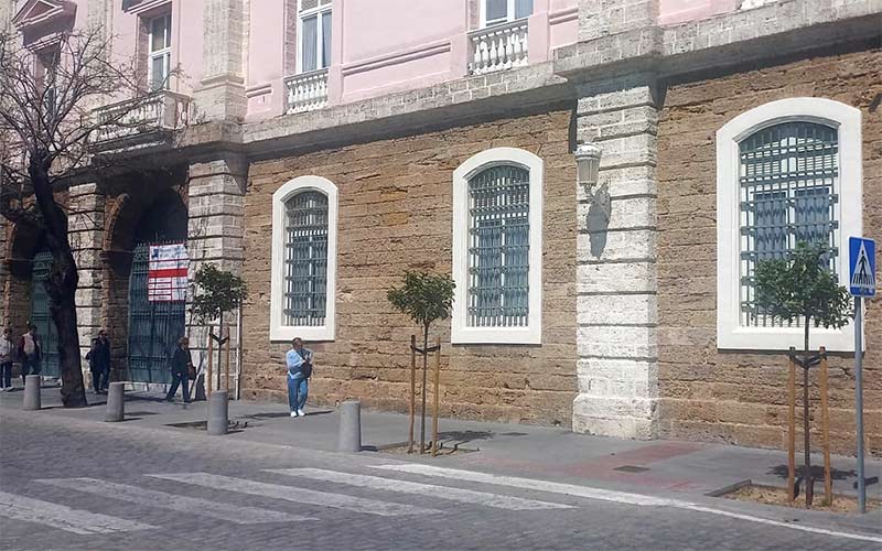 Árboles longevos “por raquíticos naranjos”: otro ejemplo de “políticas arboricidas” en Cádiz
