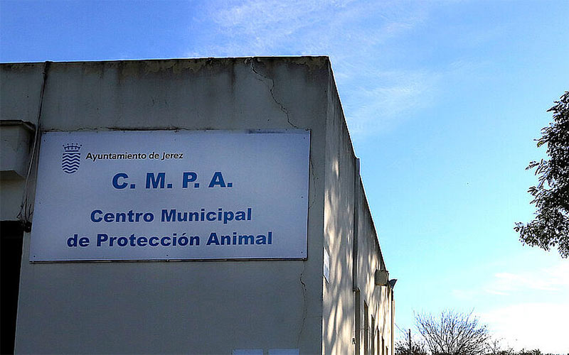 Pacma cuestiona la “gestión” del Centro Municipal de Protección Animal de Jerez y Espinar sólo ve “partidismo” en sus críticas