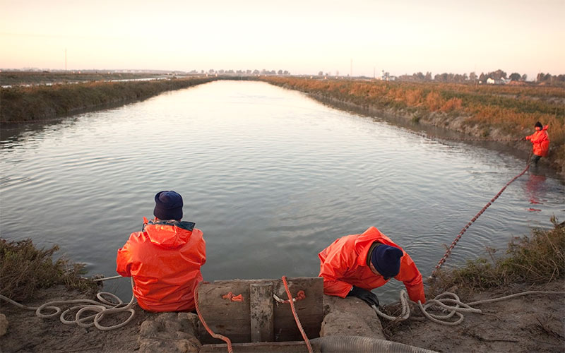 Una investigación subraya el papel de las salinas de la Bahía de Cádiz frente al cambio climático
