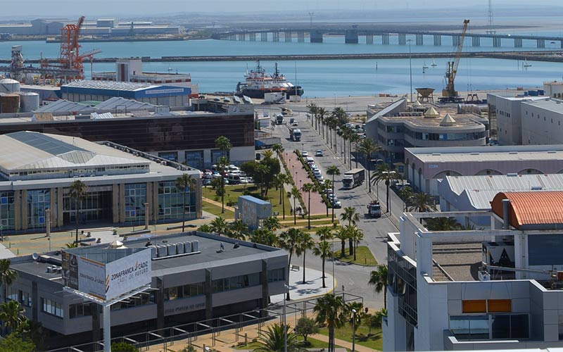 La Zona Franca de Cádiz plantea un proyecto piloto de carbono azul en la salina de San Joaquín en Chiclana para compensar su huella de CO2