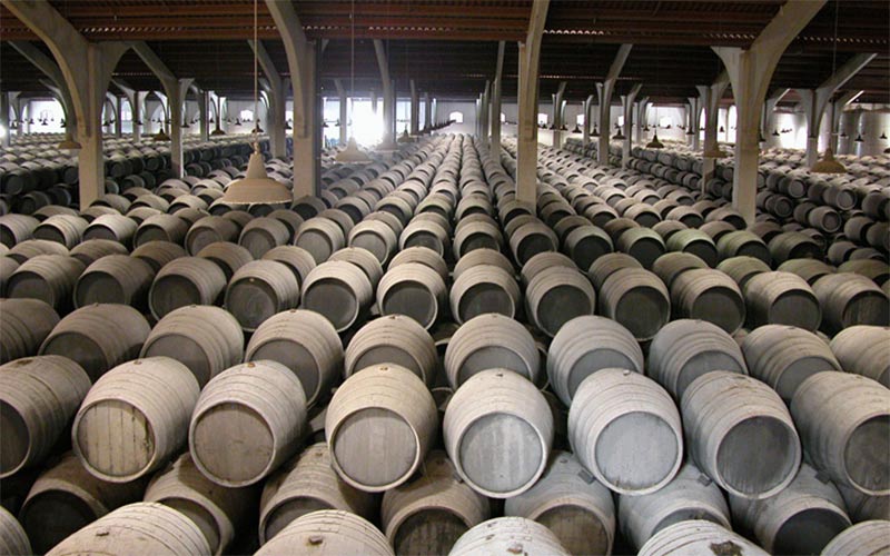 Luz verde a la obra de un complejo bodeguero en suelos de la antigua Azucarera de Guadalcacín