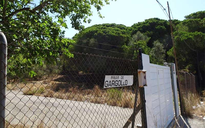 La Junta da la razón a Ecologistas y frustra el proyecto de camping de lujo en El Puerto