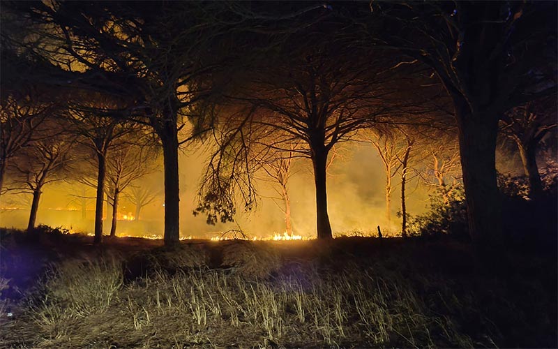 Segundo susto en la Dehesa de las Yeguas, dos años después del incendio de Las Canteras