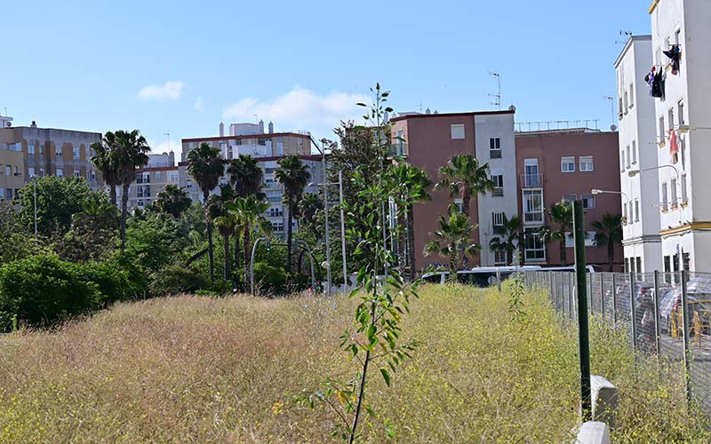 Antifraude admite la denuncia de IU contra la concejala de Vivienda de Cádiz por un posible conflicto de intereses en Casitas Bajas