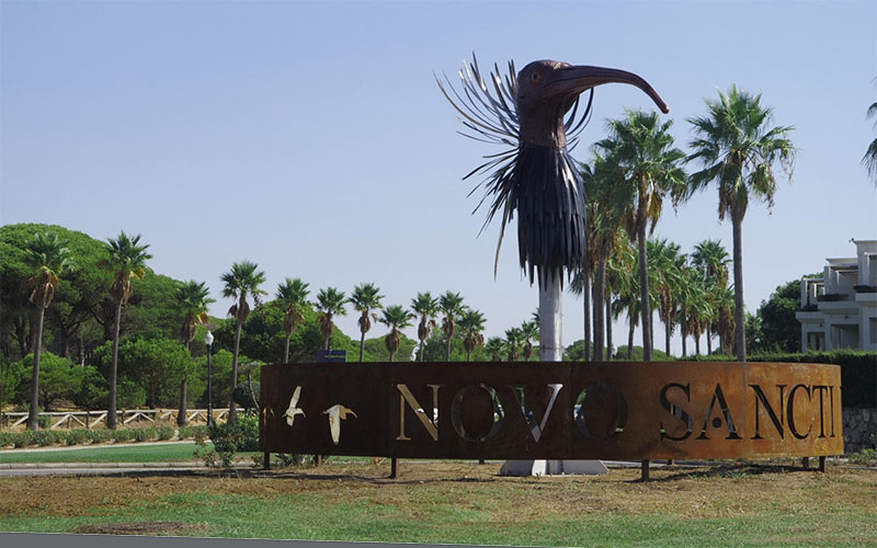 El ibis eremita tiene ‘sitio’ en Chiclana