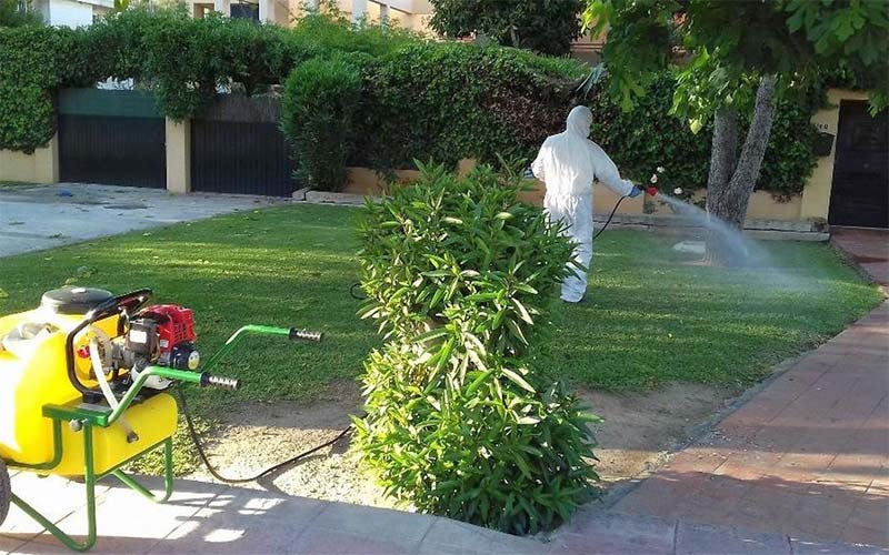 Alerta sanitaria en Chiclana tras detectarse mosquitos con el virus del Nilo Occidental
