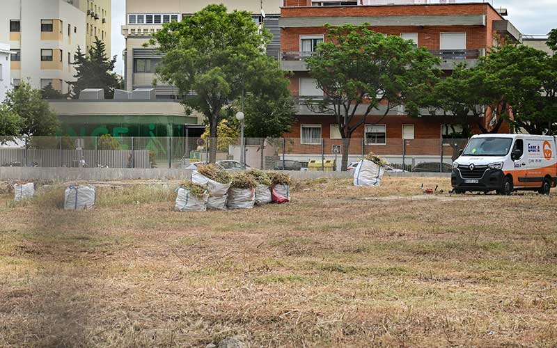 El nuevo edificio de la Subdelegación en Cádiz podría ser una realidad a finales del año 2027