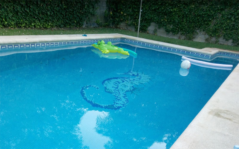 Llamada al “mantenimiento activo” de las piscinas en Chiclana para evitar los mosquitos