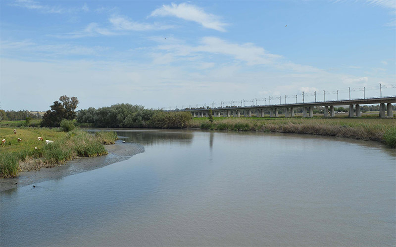 Los vertidos de la depuradora de Jerez y la industria azucarera asfixian al río Guadalete aguas abajo, y a los regantes de Doña Blanca