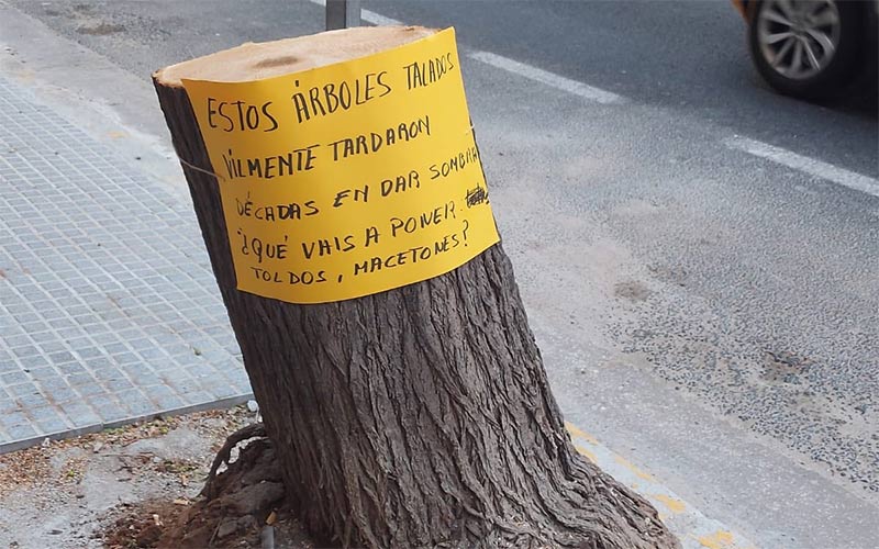 AIG tacha de “barbaridad” que el “negacionista” Bruno García permita la tala de árboles en la avenida “sin informe de técnicos municipales”