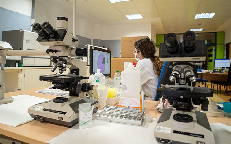 Dieciséis investigadores de la Universidad de Cádiz, entre el 2% más influyente del mundo