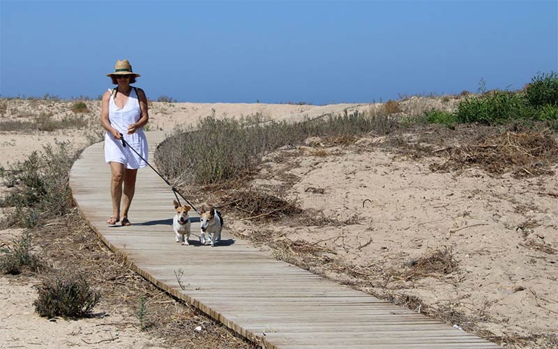 Chiclana convive con más mascotas que niños