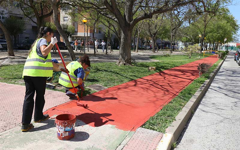Toca adecentar el bulevar Virgen de Guadalupe