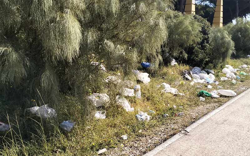 IU exige “contundencia” ante la permisividad con el botellón en los pinares de Puerto Sherry