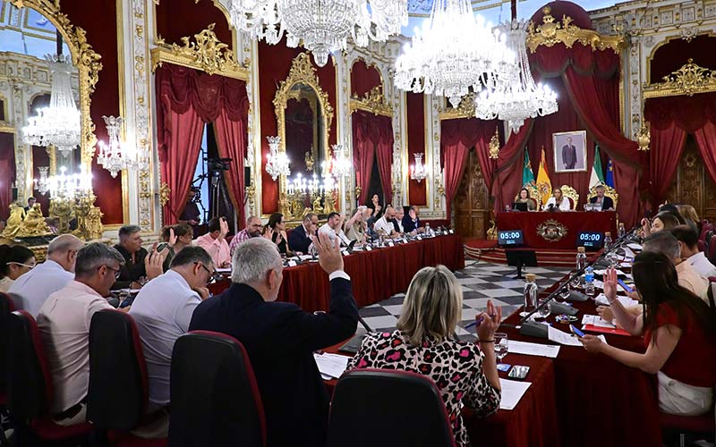 El PP vota en la Diputación de Cádiz contra medidas para “blindar” la vivienda pública