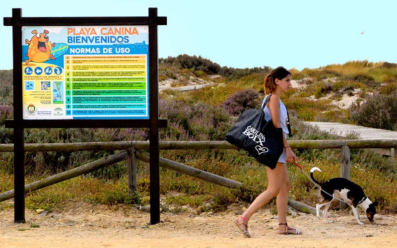La Junta acepta un acceso alternativo provisional por la orilla a la playa para perros de Camposoto