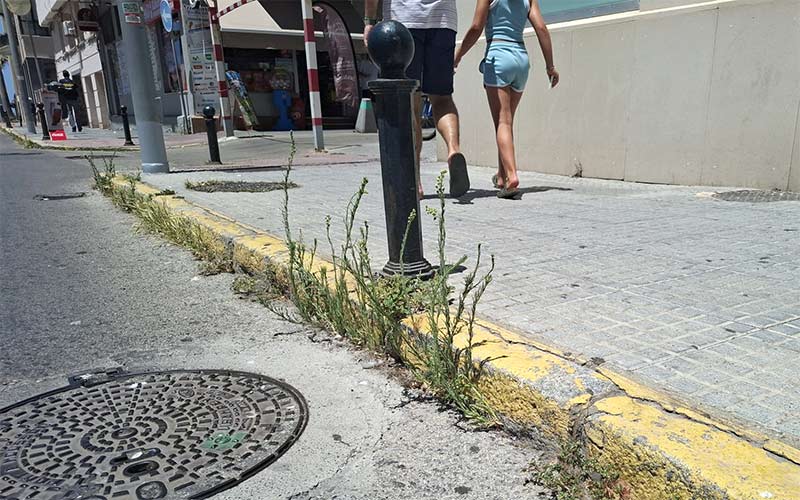 “Cádiz ofrece una imagen de abandono impropia de una capital”: AIG exige un plan para acabar con las malas hierbas y adecentar el mobiliario