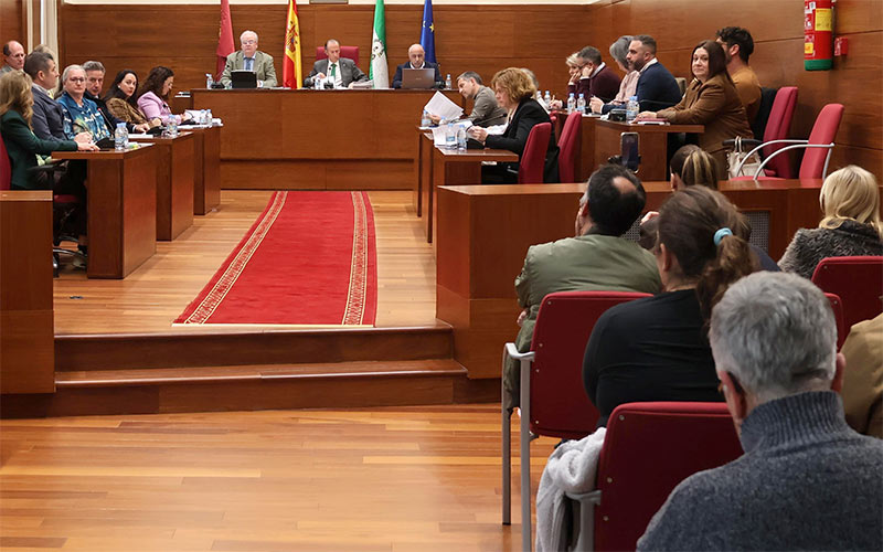Prohibido mostrar carteles en los plenos de Chiclana: “pasos atrás” en la participación