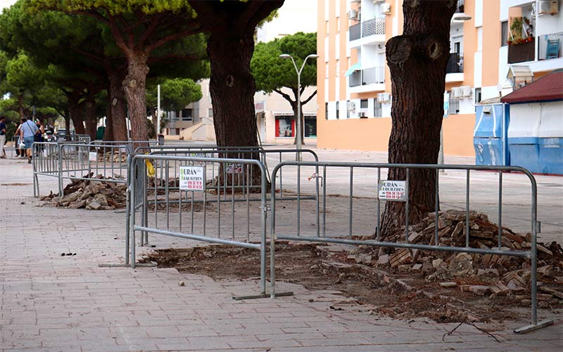 Nueva fase de obras en la avenida Argentina para reparar acerados dañados y ampliar alcorques