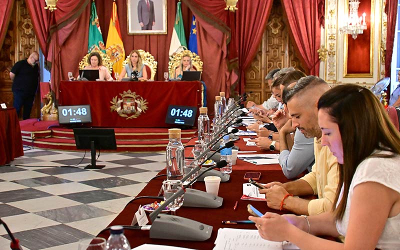 El pleno de la Diputación de Cádiz censura el pacto PP-Vox “contrario al sentir de Andalucía”