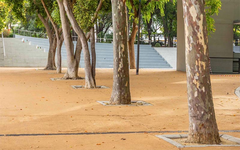 “El Parque Almirante Laulhé merece mucho más que parches”: AxSí reclama su reforma integral