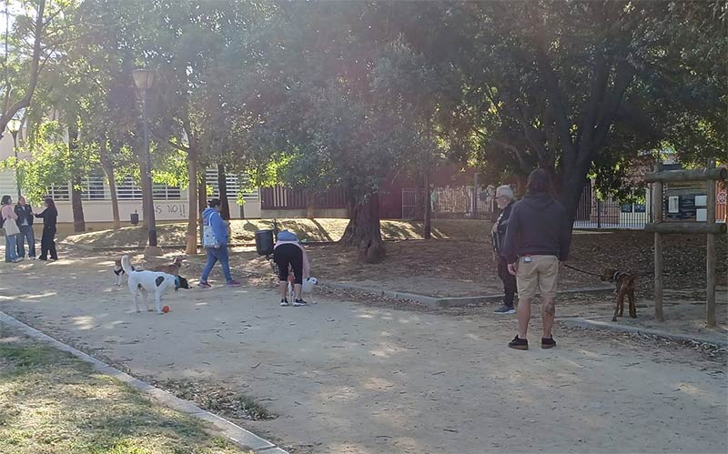 AIG exige “espacios públicos dignos” en Cádiz para el esparcimiento de los perros, incluidas las playas durante el verano en horarios regulados