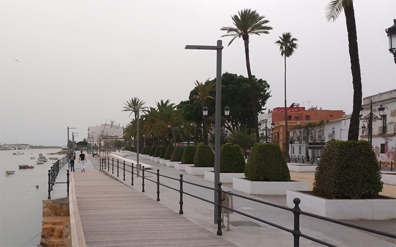 Beardo promete hacer de El Puerto “una ciudad más verde” aumentando el arbolado en el centro y recuperando palmeras en el Parque Calderón