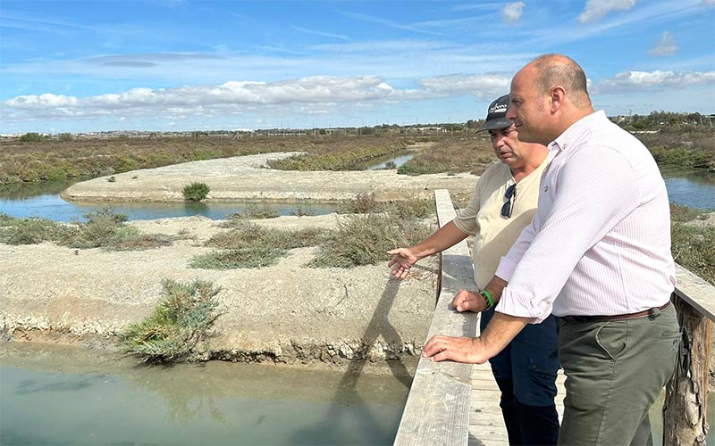 “Nos castigan con cuatro años más de un político estólido”: Ecologistas rechaza a Curtido como delegado territorial de Medio Ambiente en Cádiz