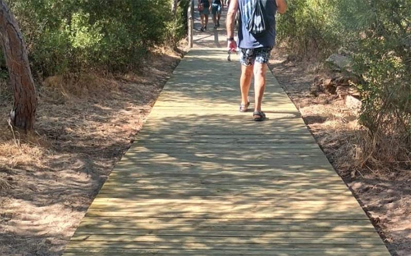 Renovada en Rota la pasarela entre pinares de acceso a la playa desde la plaza Cándida Ruiz