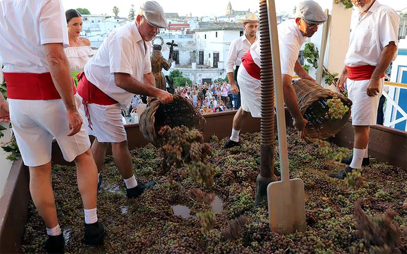 Jerez rinde homenaje a su cultura vitivinícola con dos semanas de Fiestas de la Vendimia 2026