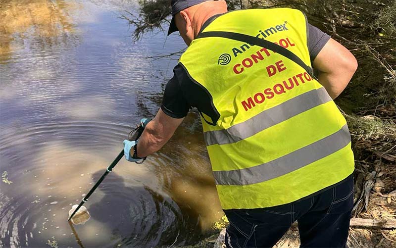 El Puerto activa la vigilancia diaria contra los mosquitos tras confirmarse un caso humano de virus del Nilo
