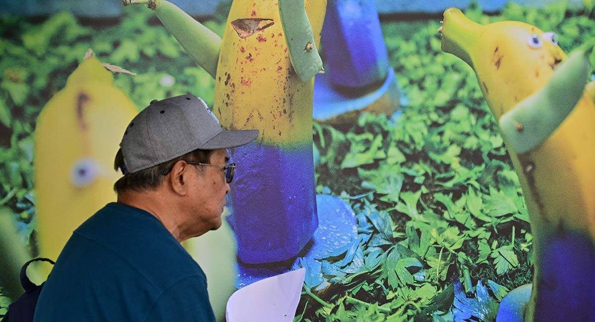 Pasando junto a la exposición de Tosantos en la fachada de la plaza - Eulogio García